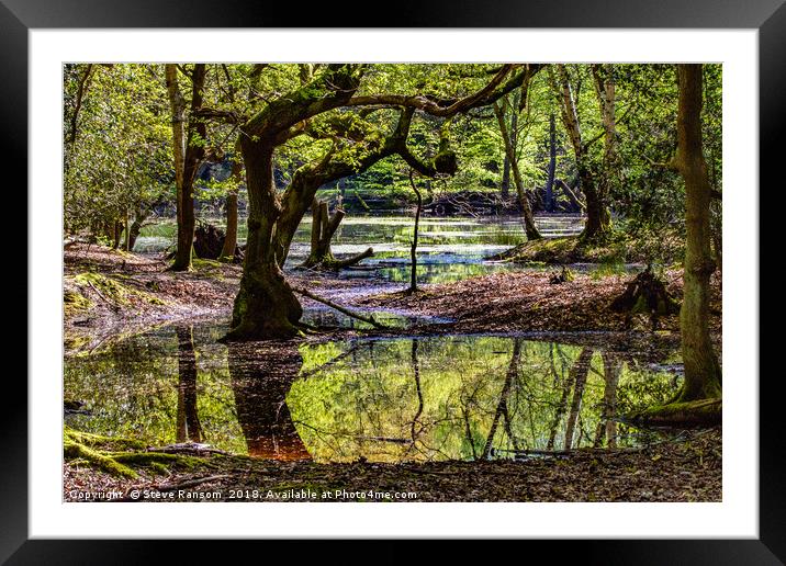 Lake in Epping Forest Framed Mounted Print by Steve Ransom