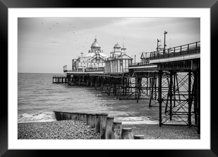 Eastbourne pier and beach Framed Mounted Print by stuart bingham