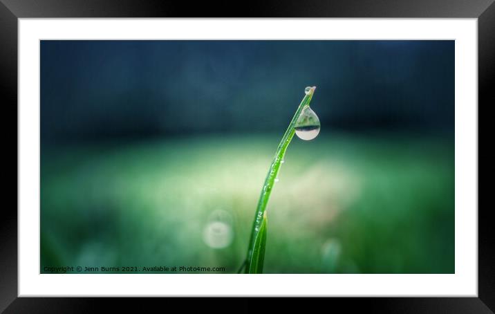 Snowdrop grass water drop with reflection Framed Mounted Print by Jenn Burns