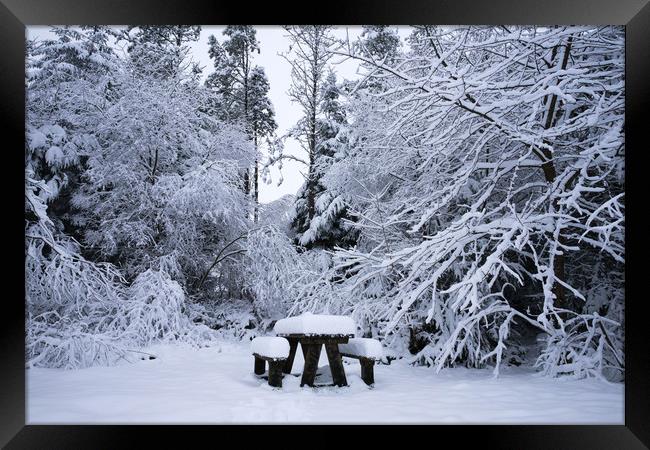 A snowy picnic Framed Print by Kevin Arscott