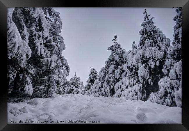 The Still Winter Forest Framed Print by Kevin Arscott