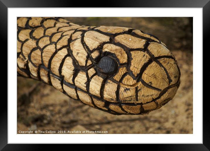 Wood Carving of a Snake  Framed Mounted Print by Tina Collins