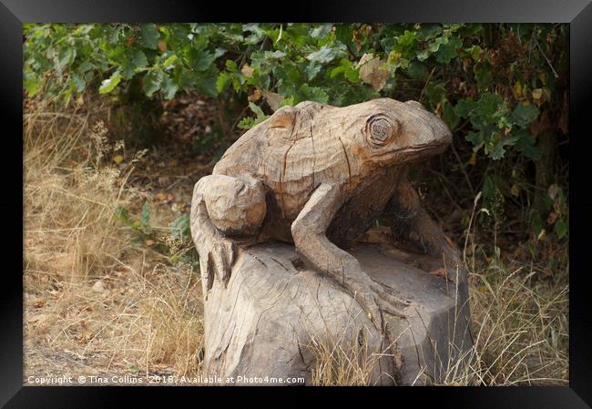 Wood Frog By a Pond Framed Print by Tina Collins