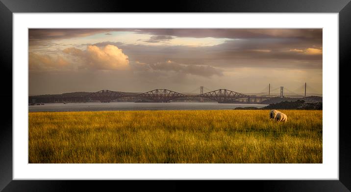 Two Sheep and Three Forth Bridges Framed Mounted Print by Keith Rennie