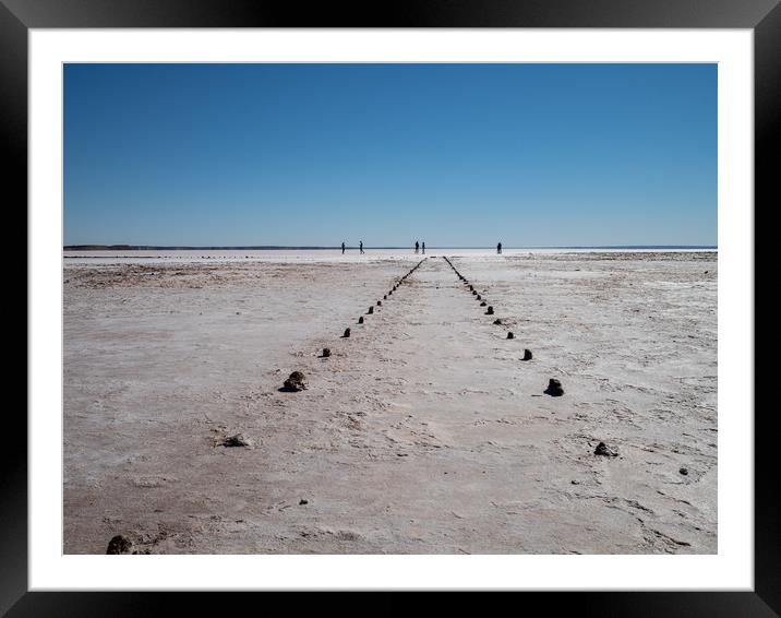  Making Tracks, Lake Hart, Australia Framed Mounted Print by Sophie Shoults