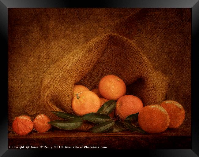 Clementine Framed Print by Denis O’ Reilly