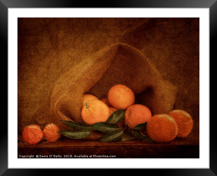 Clementine Framed Mounted Print by Denis O’ Reilly