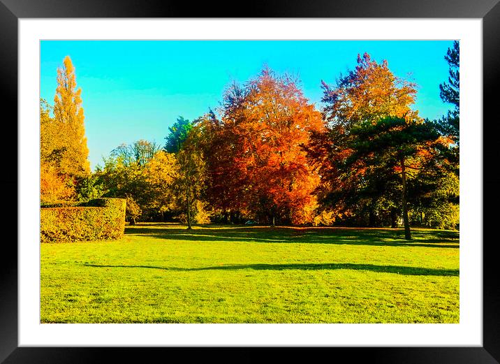 The Trees Framed Mounted Print by Simon Hill