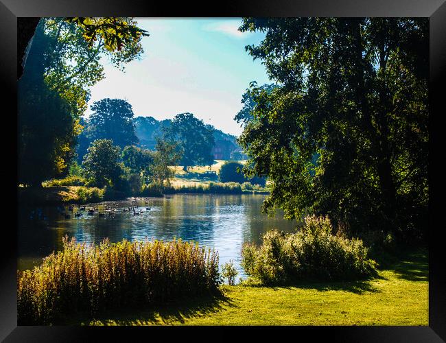 Serenity at Sandringham Estate Framed Print by Simon Hill