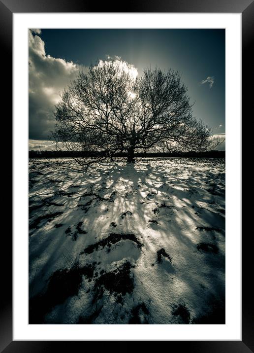 Shadows in the Snow Framed Mounted Print by Peter Anthony Rollings