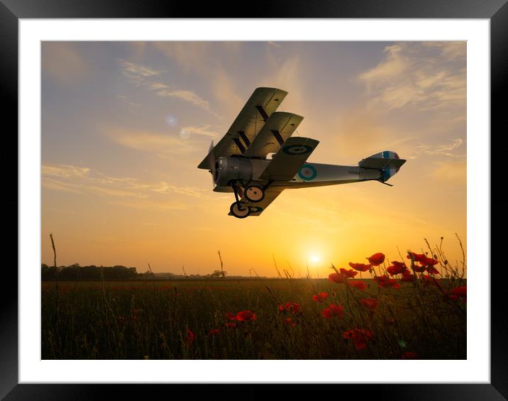 Wings of Gold Framed Mounted Print by Peter Anthony Rollings
