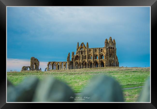 Whitby Abbey Framed Print by Peter Anthony Rollings