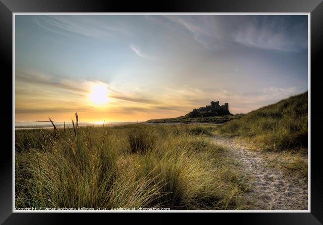 Bamburgh Castle Framed Print by Peter Anthony Rollings