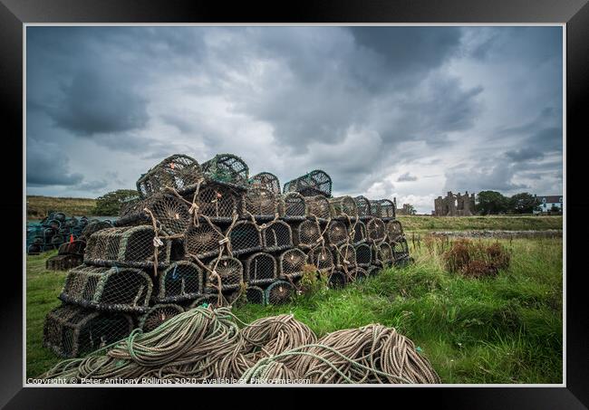 Holy Island Framed Print by Peter Anthony Rollings