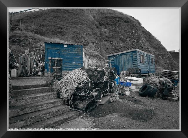St Abbs Framed Print by Peter Anthony Rollings