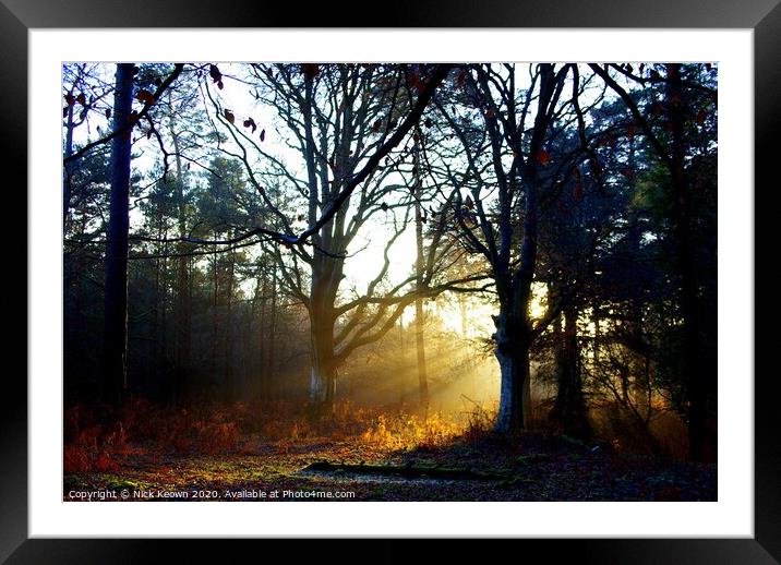 Forest Light Framed Mounted Print by Nick Keown