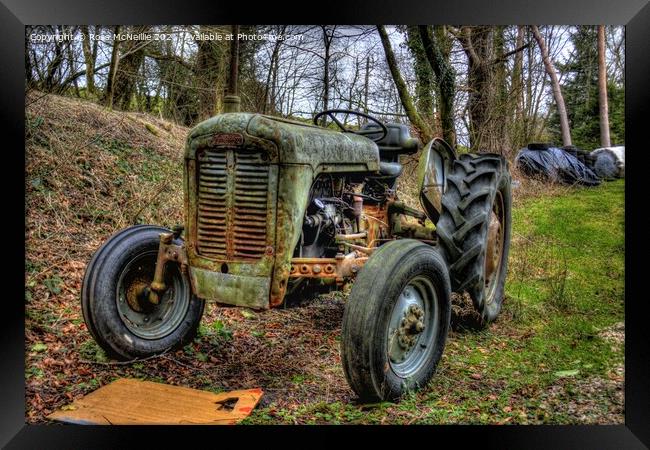 Rusty Memories Vintage Ferguson Tractor Framed Print by Ross McNeillie