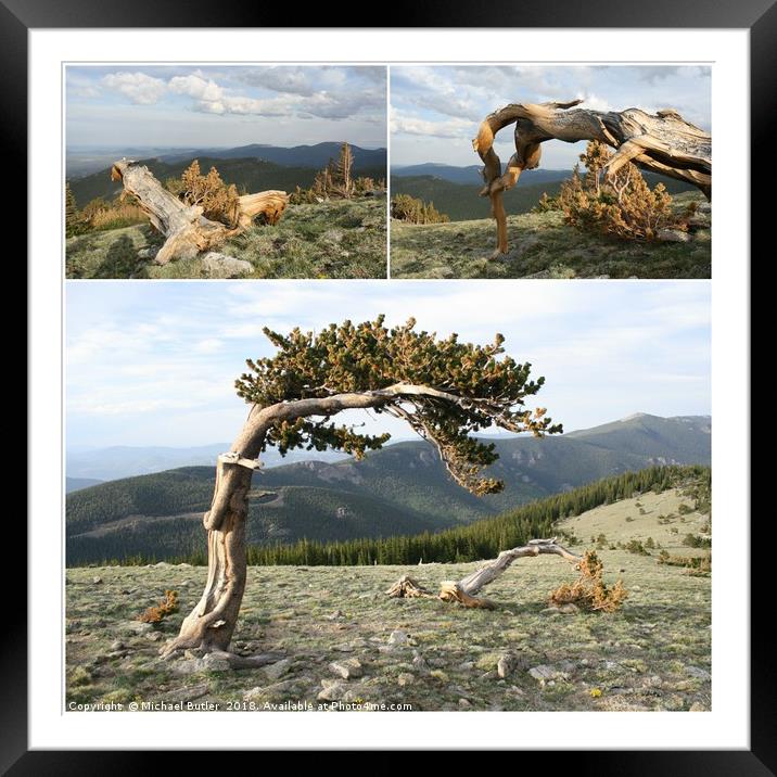 Mt Evans, Colorado  Framed Mounted Print by Michael Butler
