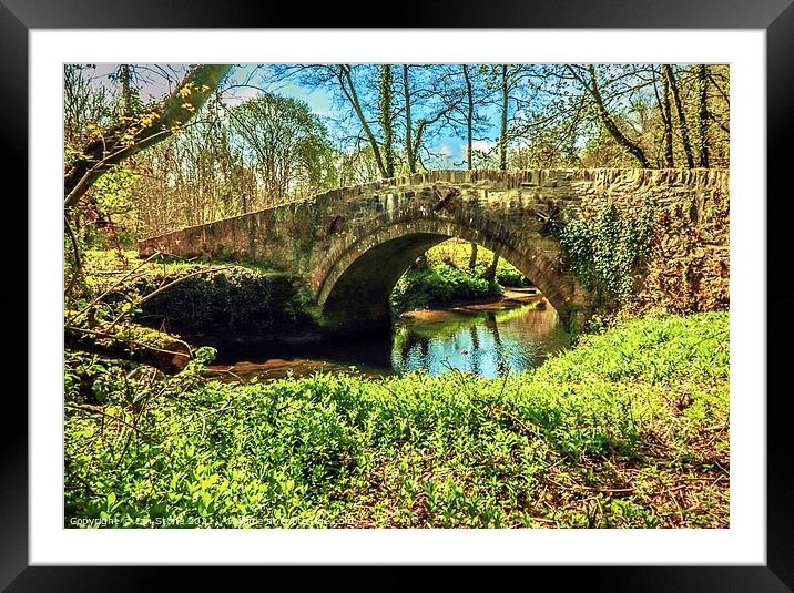 Bridge over the Avon Framed Mounted Print by Ian Stone