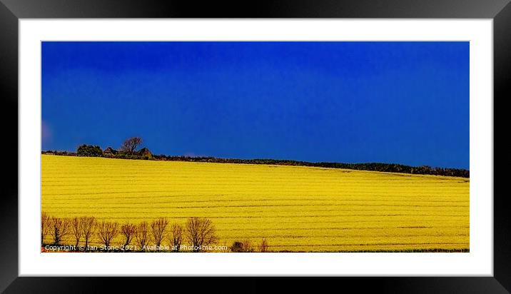 Rapeseed  Framed Mounted Print by Ian Stone