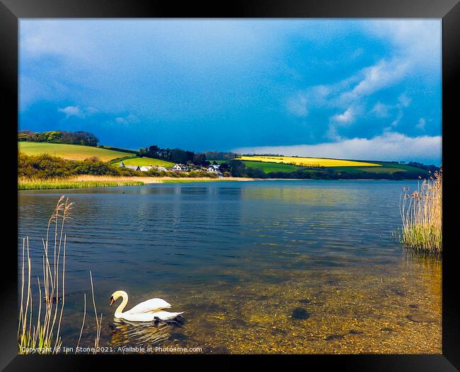 Swan Lake Framed Print by Ian Stone