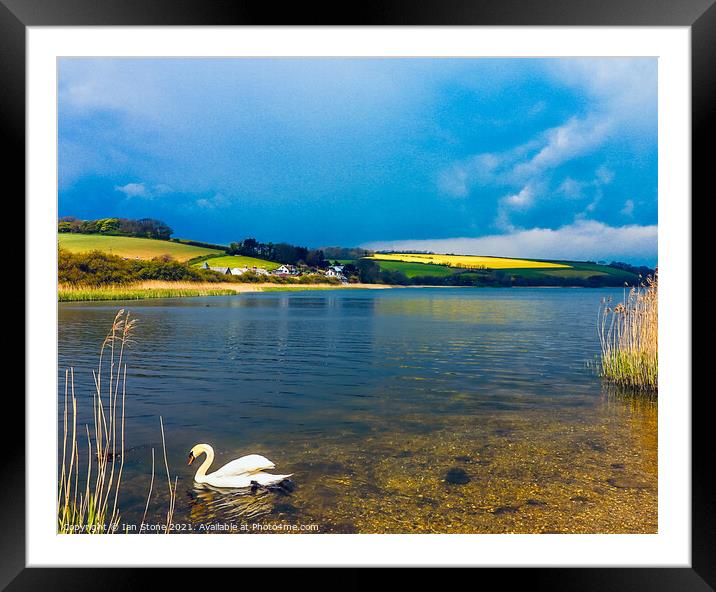 Swan Lake Framed Mounted Print by Ian Stone