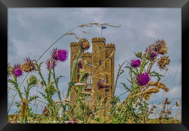 Majestic Beacon of the Cotswolds Framed Print by Ian Stone
