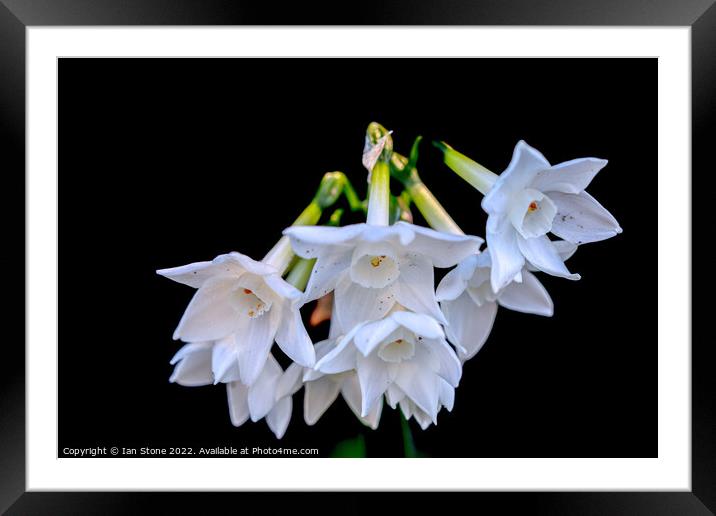 Out of the dark Framed Mounted Print by Ian Stone