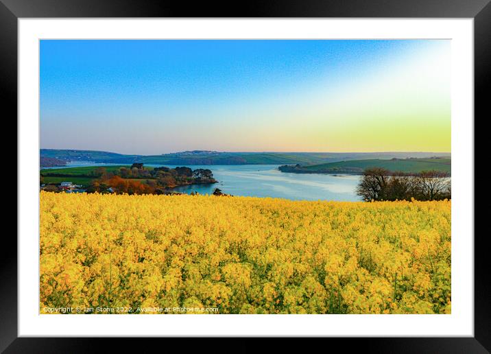 Estuary view Framed Mounted Print by Ian Stone
