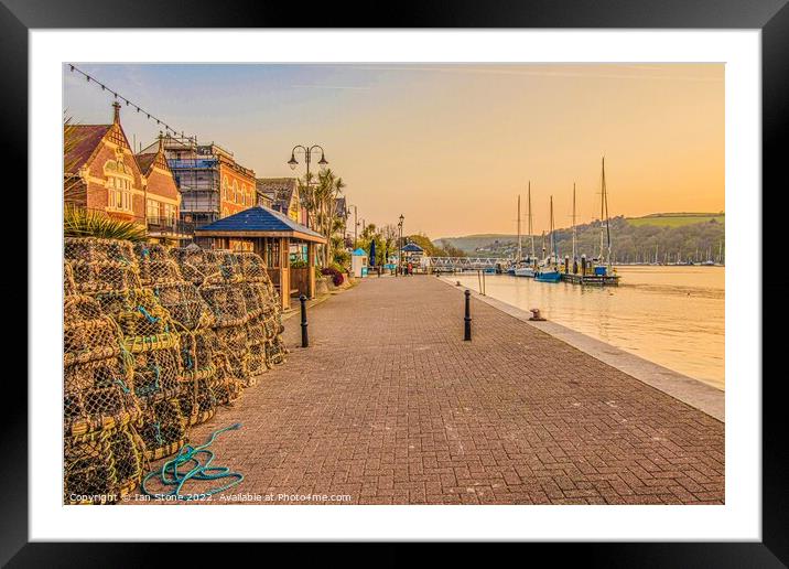 Dartmouth quayside and promenade  Framed Mounted Print by Ian Stone