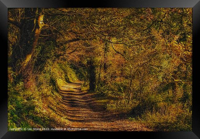Countryside walk Framed Print by Ian Stone
