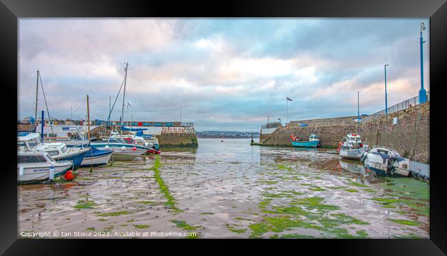 Paignton Harbour  Framed Print by Ian Stone