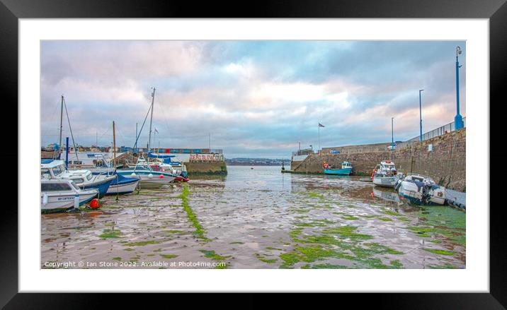 Paignton Harbour  Framed Mounted Print by Ian Stone