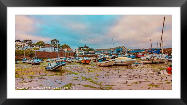 Paignton harbour  Framed Mounted Print by Ian Stone