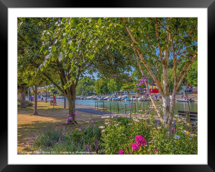 Kingsbridge estuary  Framed Mounted Print by Ian Stone