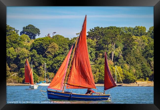 Sailing on the river Dart  Framed Print by Ian Stone