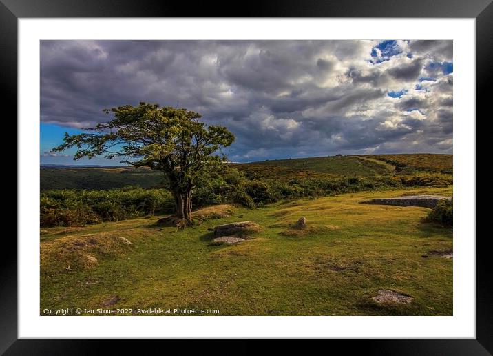 Beautiful Dartmoor  Framed Mounted Print by Ian Stone