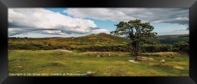 Dartmoor panorama  Framed Print by Ian Stone