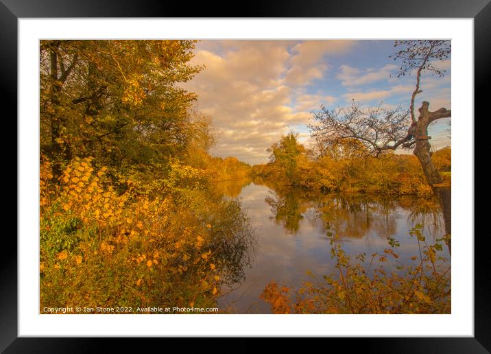 Golden Reflections on the River Dart Framed Mounted Print by Ian Stone