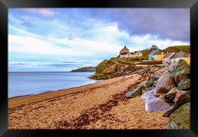 Hallsands beach  Framed Print by Ian Stone