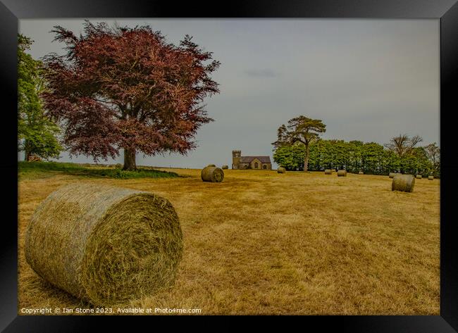 Devon Harvest Framed Print by Ian Stone