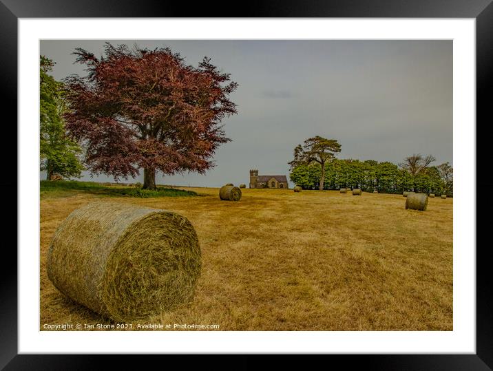 Devon Harvest Framed Mounted Print by Ian Stone