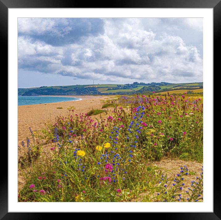 Wildflowers of Slapton Sands. Framed Mounted Print by Ian Stone
