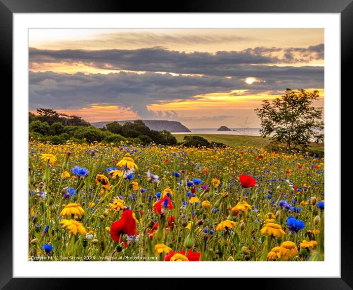 Magical Cornish Meadow  Framed Mounted Print by Ian Stone