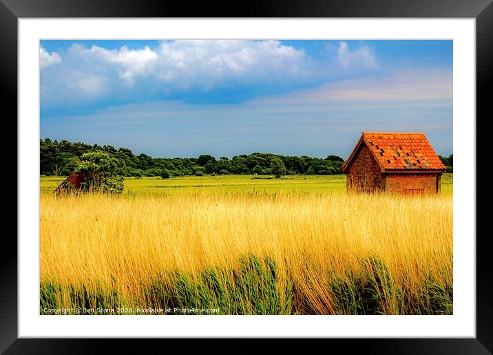 Norfolk Broads  Framed Mounted Print by Ian Stone