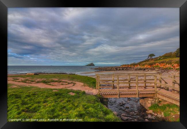 Mewstone view Framed Print by Ian Stone