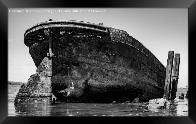 Rusting barge  Framed Print by Andrew Nutting