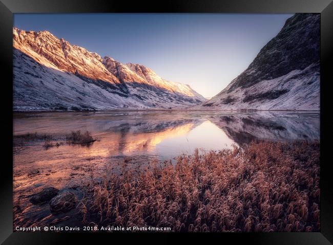 Reflections Framed Print by Chris Davis