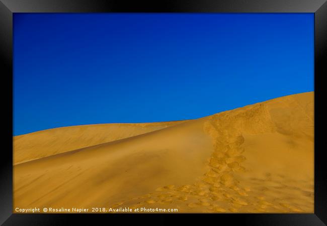 Dune 7 Namibia Framed Print by Rosaline Napier