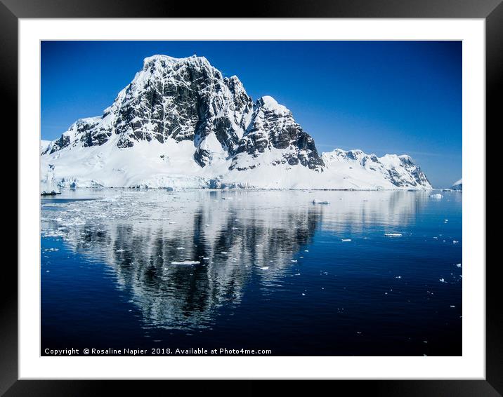 Antarctic mountain reflections Framed Mounted Print by Rosaline Napier